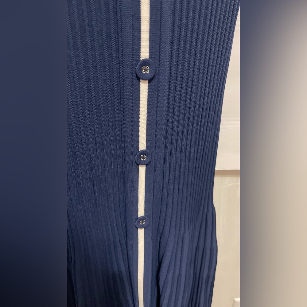 Eva Mendes for New York & Company Navy and White Midi Dress - Picture 6 of 13
